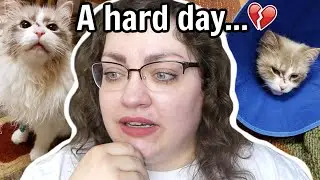 My Baby Needed Surgery (Feline Tooth Resorption) | VLOGMAS 2021: Ep.1