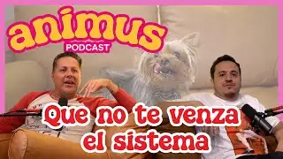 ANIMUS Ep 15: Que no te venza el sistema