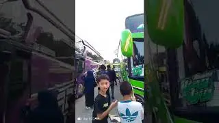 bus apa hayo tebak?