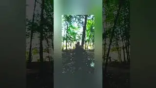 Все спланировано на перед