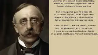 Emile Verhaeren - Le cri