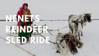 Reindeer Sled Ride - Nenets Yamal | Tours in Russia - Siberia