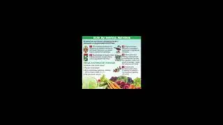 Lectins. How to reduce lectins in foods? What should you do?