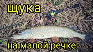 ОСЕННИЙ КЛЁВ КРУПНОЙ ЩУКИ !! С МУЛЬТИПЛИКАТОРОМ НА МАЛОЙ РЕЧКЕ !!!