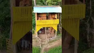 Suasana sejuk di pondok sawah