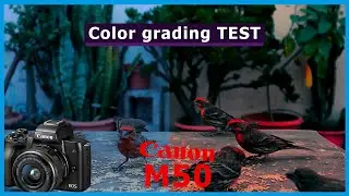 Canon eos M50 Test de colorización (color grading test)
