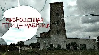 ЗАБРОШЕННАЯ ПТИЦЕФАБРИКА