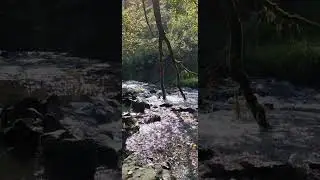 Ljubljanica meditation location-Močilnik
