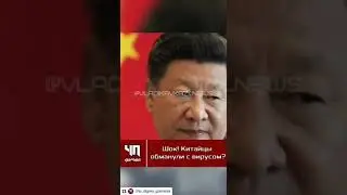 коронавирус, как источник дохода!