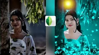 Snapseed Green And Bird Effect Photo Editing Tutorial | Snapseed Background Colour Change Tricks