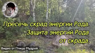 Как пресечь скрад энергий Рода. Как защитить энергии Рода от скрада.