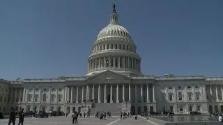 Building Community Resilience through Policy & Advocacy
