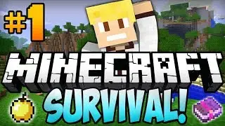 My First Game in my Channel MINECARFT #EP1