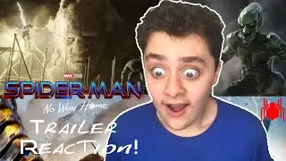 SPIDER-MAN NO WAY HOME OFFICIAL TRAILER REACTION!