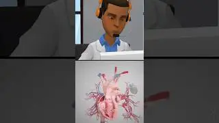 Pacemaker Animation Insertion 