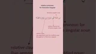 Understand Relative Pronoun in Arabic with ease | Ism Mausul for Masculine & Feminine Singular