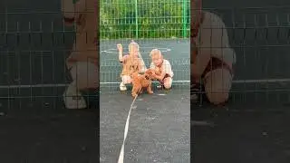 #puppy дружелюбный щенок 🐶 мальтипу