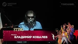 Владимир Ковалев - Fragile