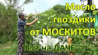 Масло Гвоздики от Москитов . Комары,мошка ТЕСТ