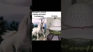 #арбуз