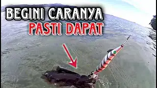 CARA MANCING CUMI SEPERTI INI PASTI DAPAT ~ DIJAMIN AMPUH 💯%