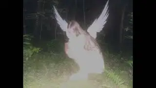 I Feel Like I Can Fly