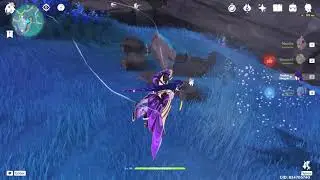 Genshin Impact Hidden Precious Chest Seirai Island