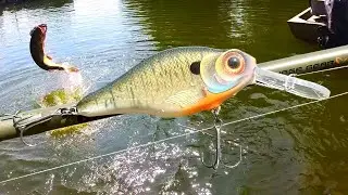 A Heartbreaking Sequence of Bait Maker DEVASTATION