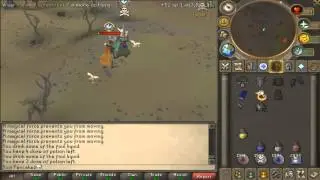 Daily Zealusion videos?