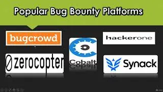 Popular Bug Bounty Platforms   Bug Bounty Hunting Guide to an Advanced Earning Method