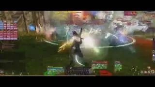 ArcheAge: Осада Сальфимара, деф (15.01.2020) [Корвус]