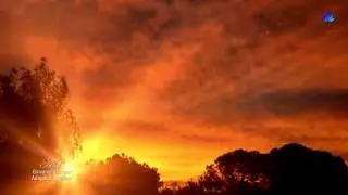 ✿ ♡ ✿ GIOVANNI MARRADI - Adagio in D Minor