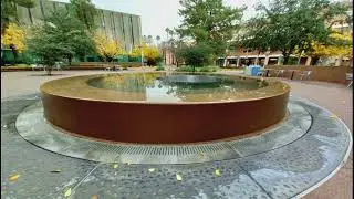 Natural Beauty of Arizona State University (Traveling)