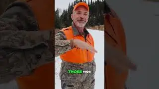 What You Can Tell from A Buck Track