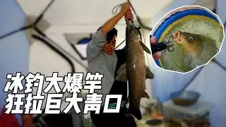 Half a meter of ice fishing! Xiaohui ice fishing for an hour, pulling up the big herring