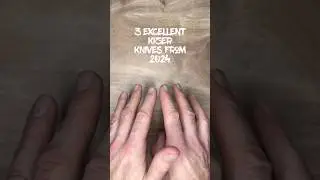 3 Excellent Kizer Knives from 2024