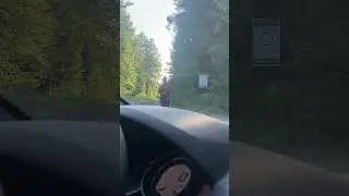 Сумасшедшая тетя в лесу #польша #shorts #дурдом