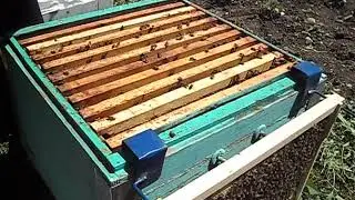 when the nest is full, we install the second body and not the magazine.