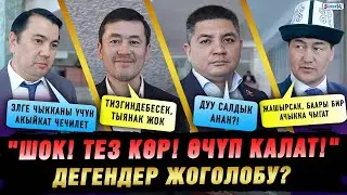 Депутаттар президенттин маалымат кызматынын башчысынын талкуу жараткан билдирүүсү боюнча ою кандай?