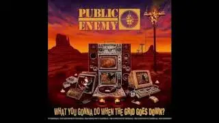 Public Enemy -  Smash the crowd feat.  Ice T & PMD