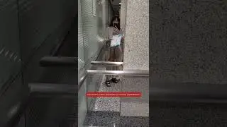 Дорого ли сходить в больницу в Куала-Лумпуре? 