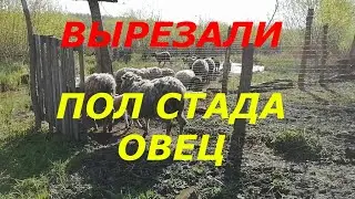 ЖИЗНЬ ПРОСТЫХ ЛЮДЕЙ В ДЕРЕВНЕ//По чуть чуть обо всём//