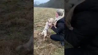 Vlog 7 - Mila sieht ihre Mama wieder 🐶🥹♥️ 