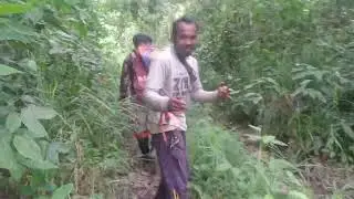 cek jerat bersama kawan2 poin 5 ekor🐗🐗🐗🐖🐖🐖