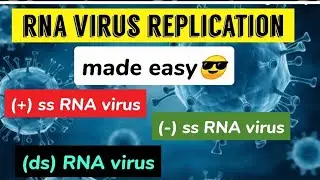RNA virus Replication|| (+) ss RNA ; (-) ssRNA ;ds RNA virus || made easy😎