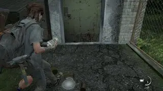 last of us?