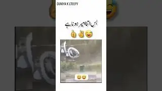 paisa