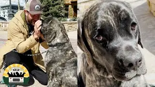 Roo might be missing a leg but she makes up for it with spirit | The Asher House