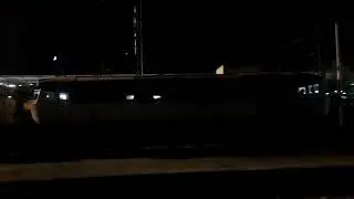 Chrochtadlo nenajbrtí Bardotka v ČB ve 20:10 13.9.2018