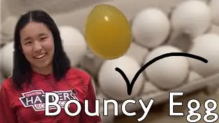 Egg-citing Bouncy Egg | HatterSTEM